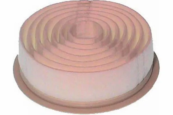 Air Filter (TA-1172)