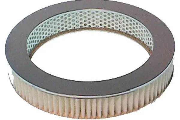 Air Filter (MA-495)