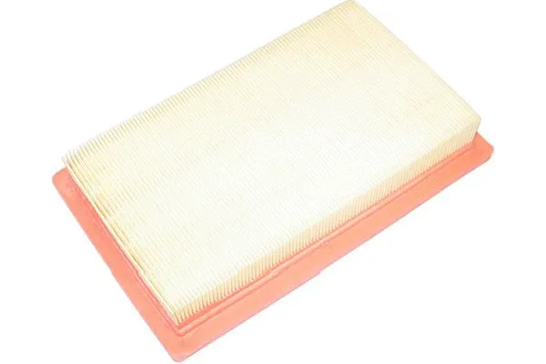 Air Filter (DA-799)