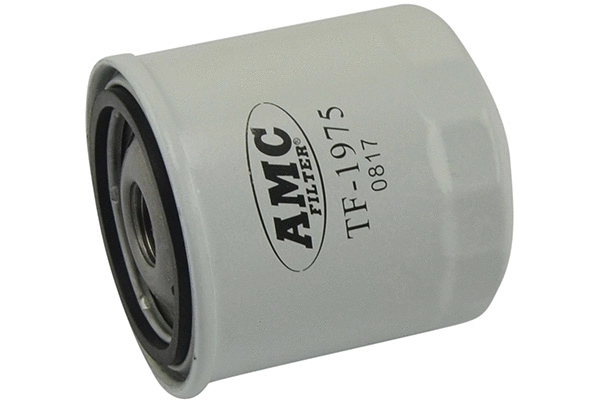 Fuel Filter (TF-1975)