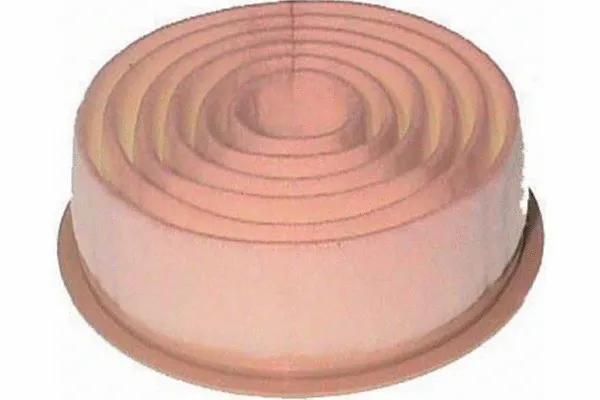 Air Filter (TA-1169)