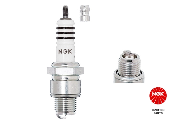 Spark Plug