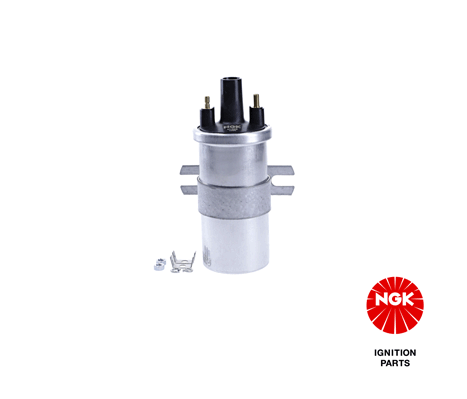 Ignition Coil (48306)