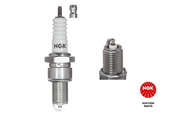 Spark Plug