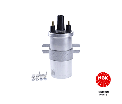 Ignition Coil (48302)