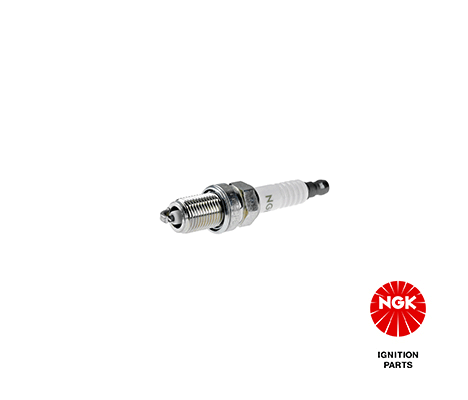 Spark Plug (1089)