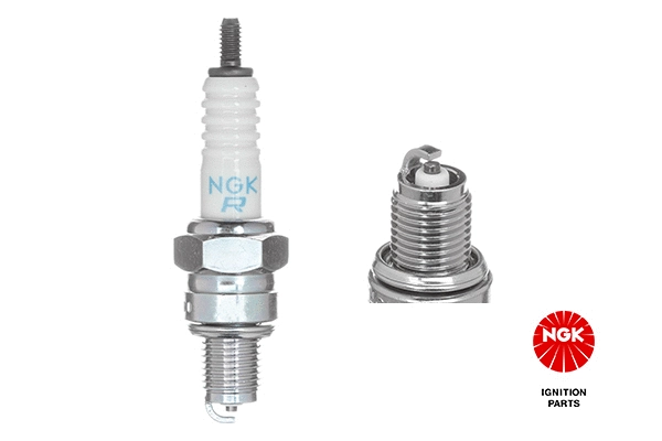 Spark Plug