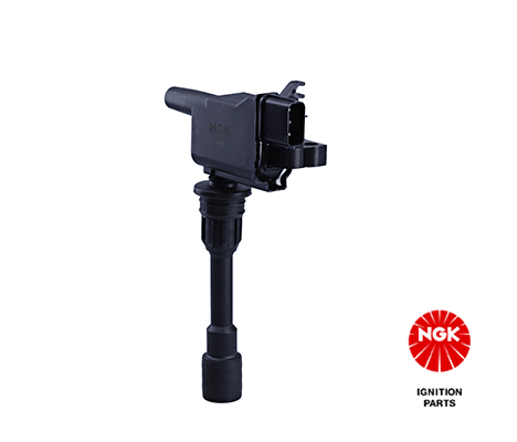 Ignition Coil (48208)