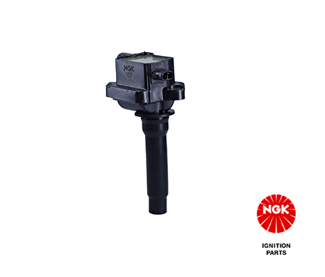 Ignition Coil (48291)