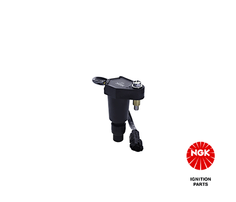 Ignition Coil (49051)
