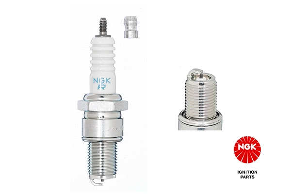 Spark Plug