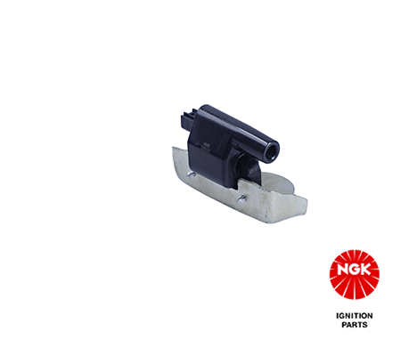 Ignition Coil (48125)