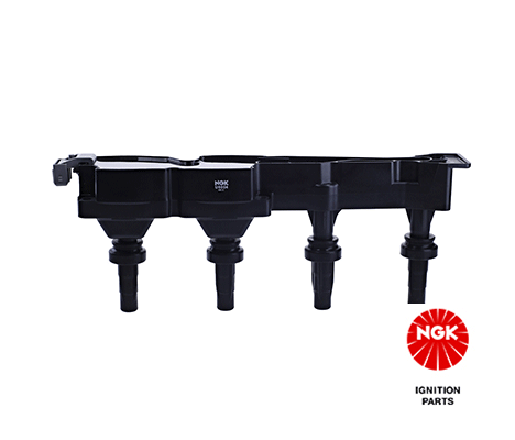 Ignition Coil (48014)