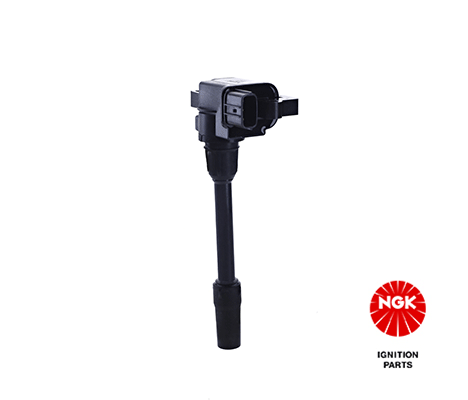 Ignition Coil (48539)
