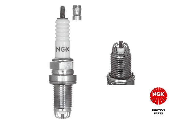 Spark Plug