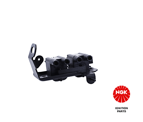 Ignition Coil (48288)