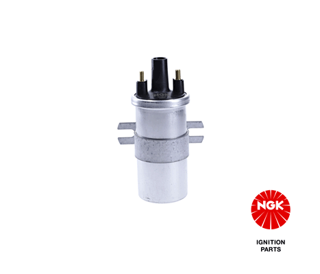 Ignition Coil (48340)