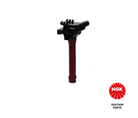 Ignition Coil (48100)