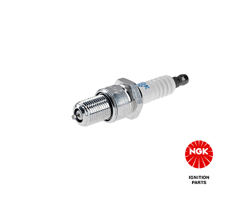 Spark Plug (2954)