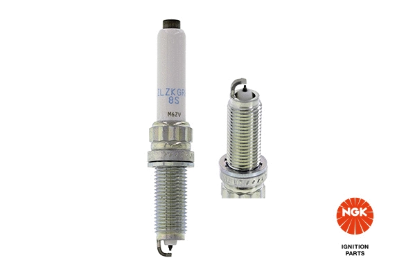 Spark Plug