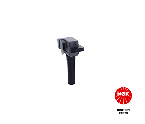 Ignition Coil (48227)