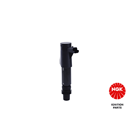 Ignition Coil (48031)