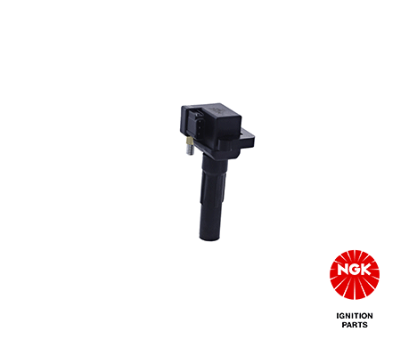 Ignition Coil (48215)