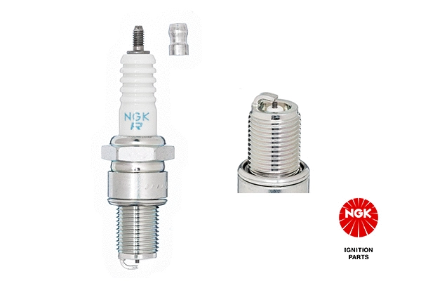 Spark Plug