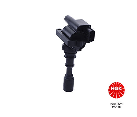 Ignition Coil (48313)