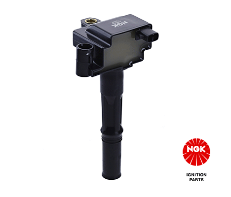 Ignition Coil (48248)