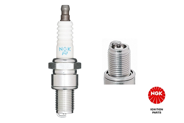 Spark Plug