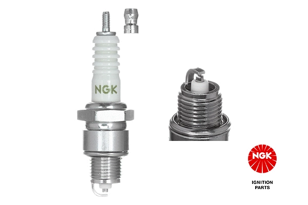 Spark Plug