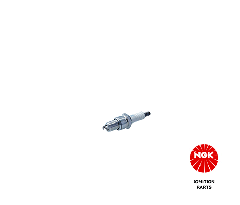Spark Plug (3106)