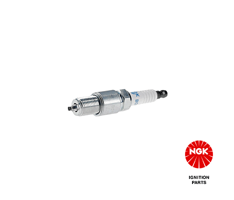 Spark Plug (2461)