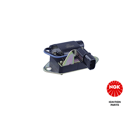 Ignition Coil (48113)