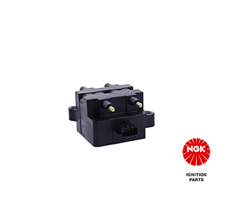 Ignition Coil (48254)