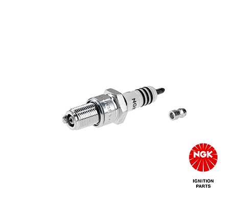 Spark Plug (3981)