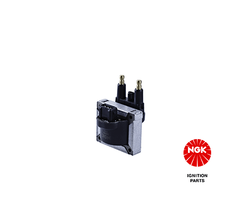 Ignition Coil (48028)