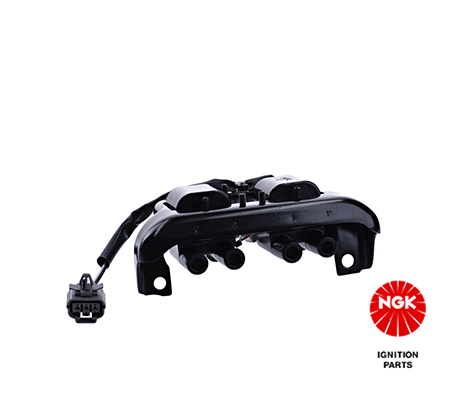 Ignition Coil (48250)