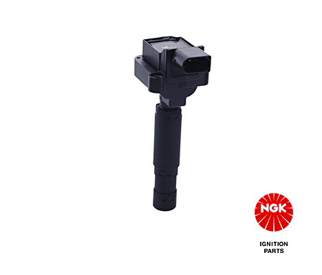 Ignition Coil (48207)