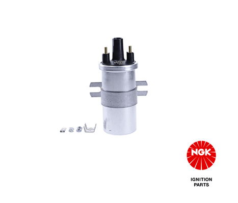 Ignition Coil (48342)