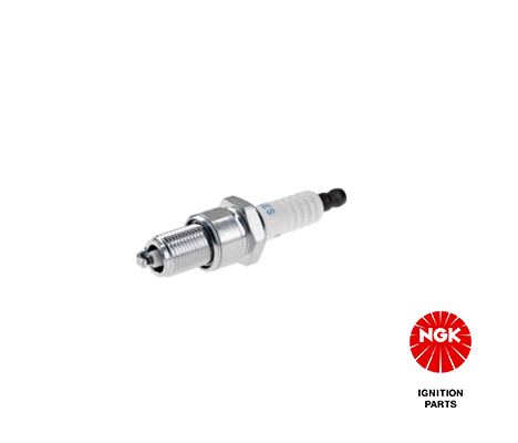 Spark Plug (4008)