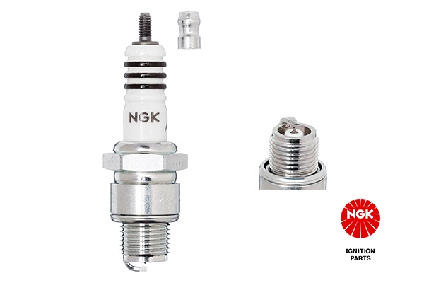 Spark Plug