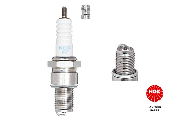Spark Plug