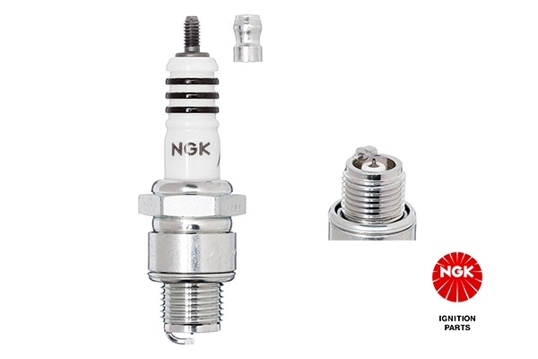 Spark Plug