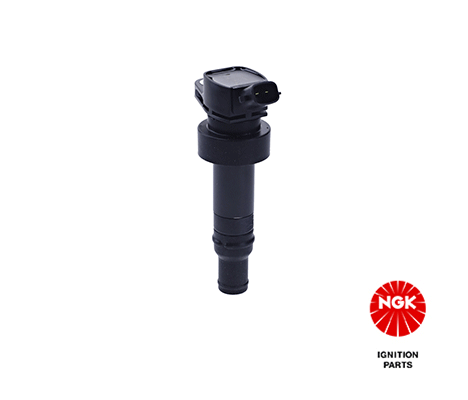 Ignition Coil (49055)