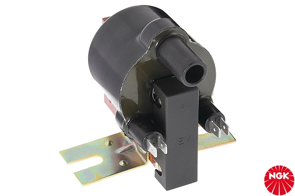 Ignition Coil (48137)