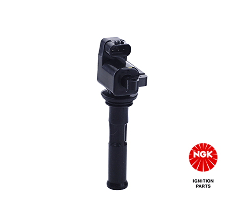 Ignition Coil (48102)