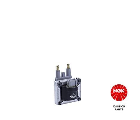 Ignition Coil (48138)