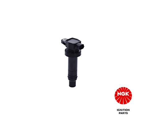Ignition Coil (48245)